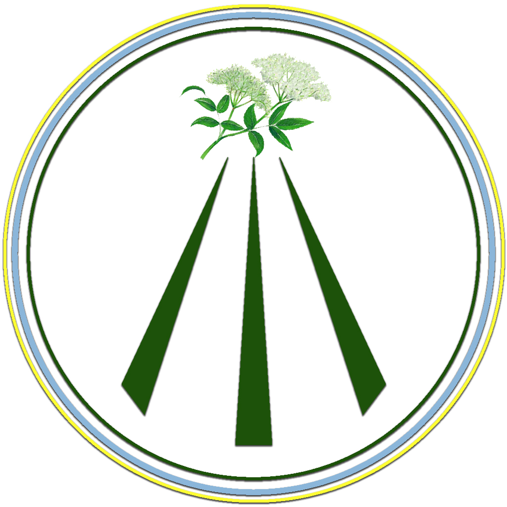 Bazgin Gaj - Elder Grove